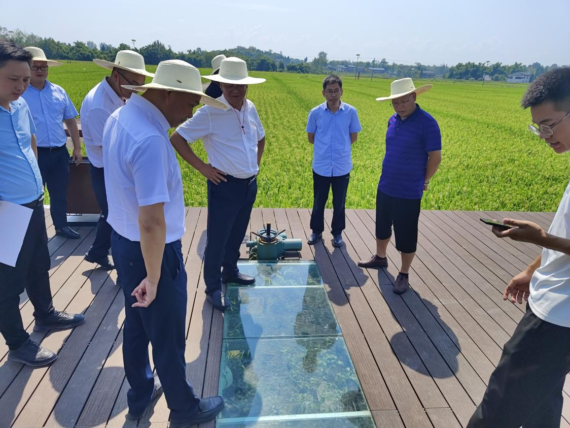 365上市公司集团推进广安市种业工业相助项目落地