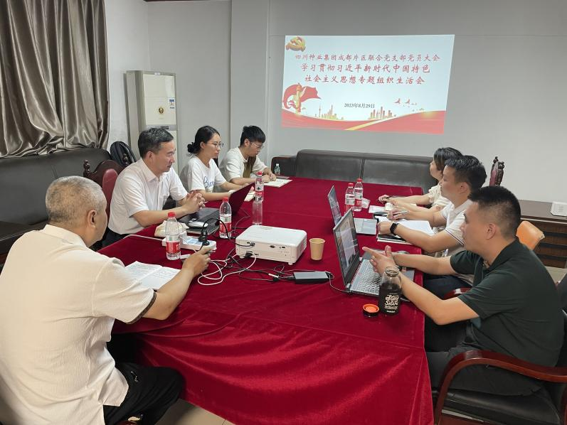 成都片区联合党支部组织召开主题教育专题组织生涯会.png