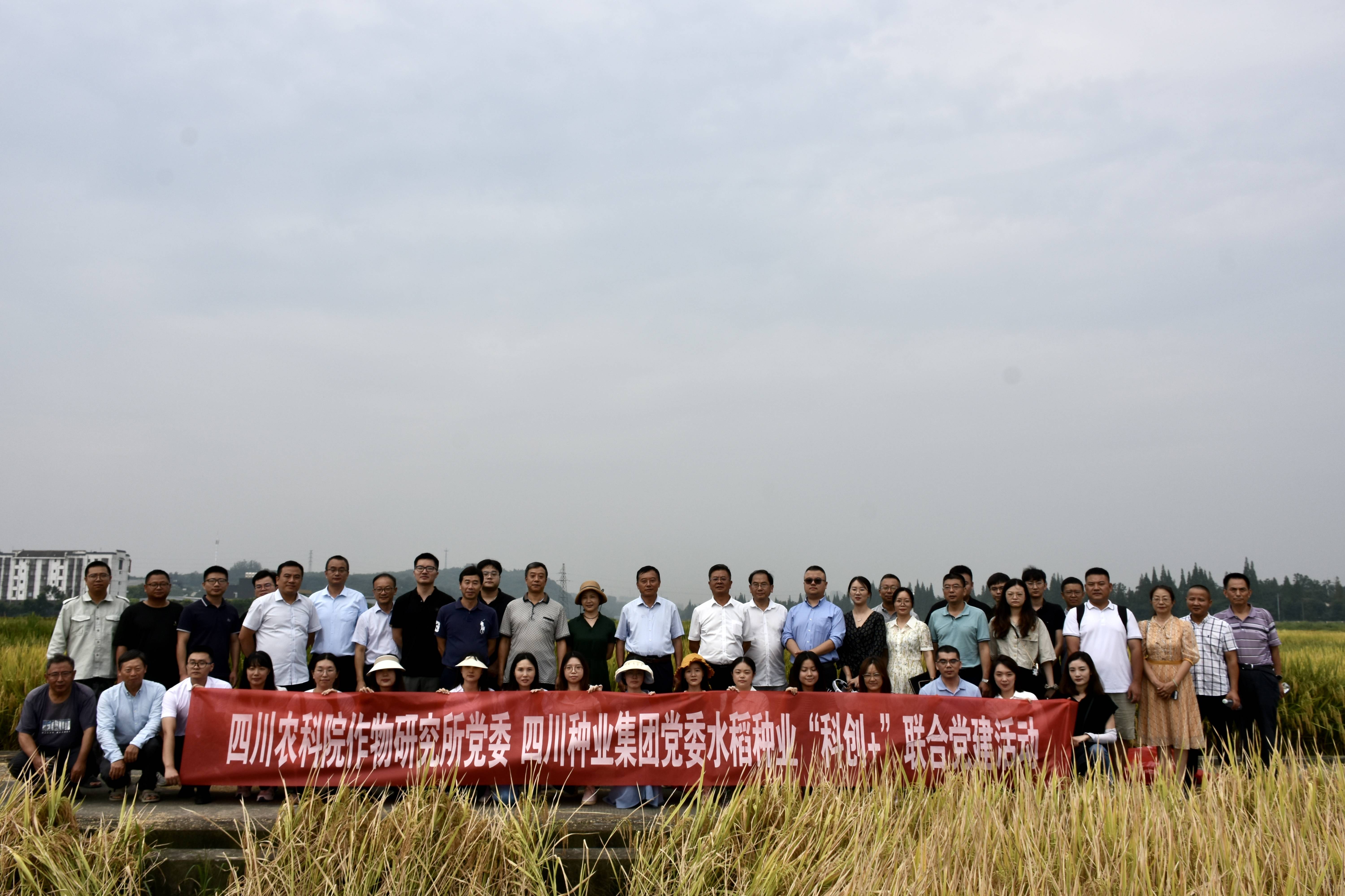 365上市公司 省农科院作物研究所 联合开展水稻种业“科创+”党建活动