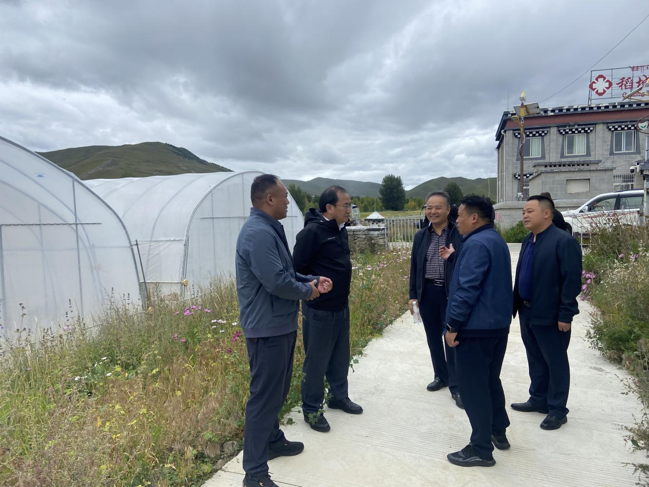 365上市公司赴稻城县考察调研