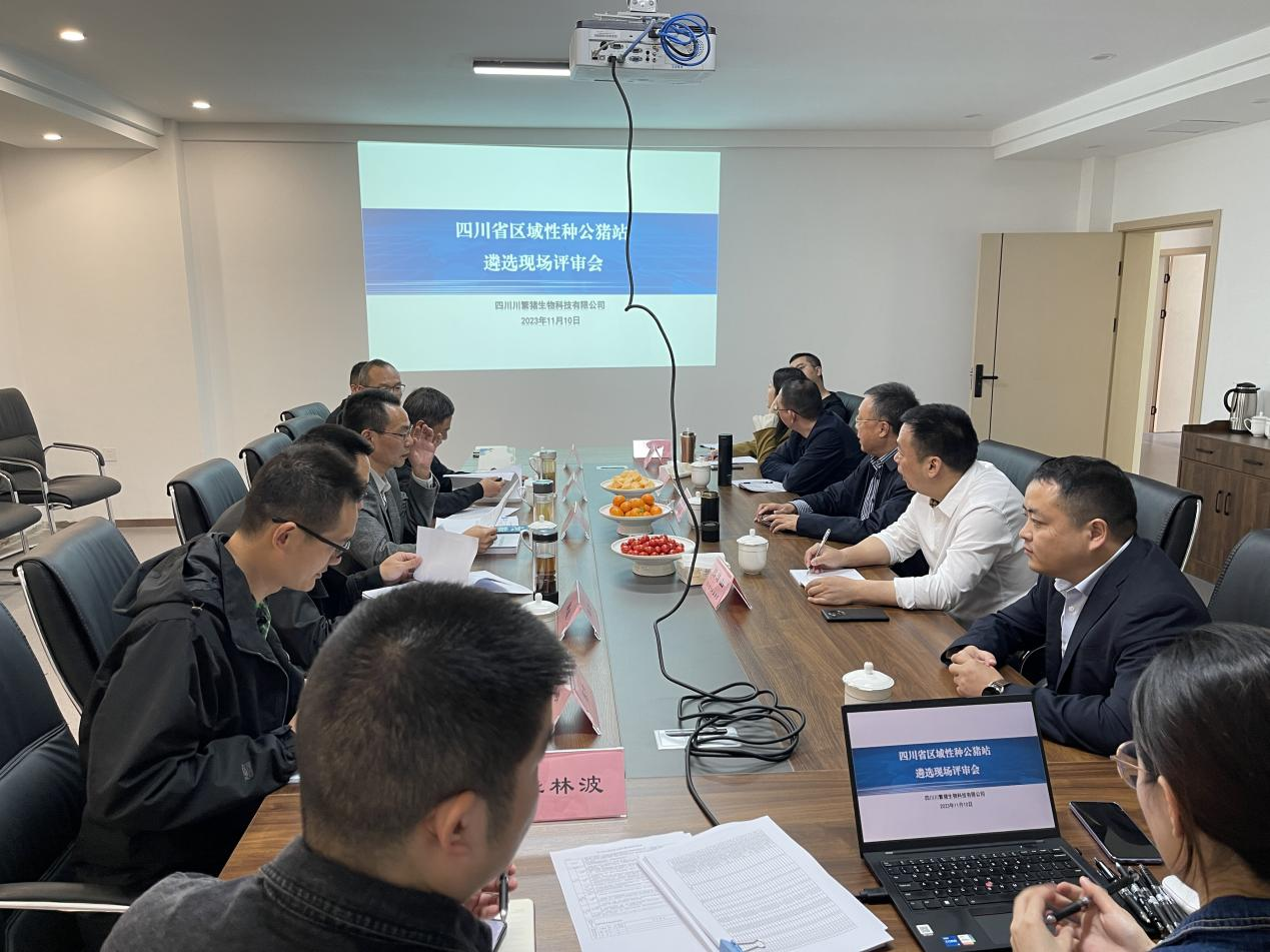 四川省畜牧科学研究院率队到川繁猪公司举行四川省区域性种公猪站遴选现场评审1.png
