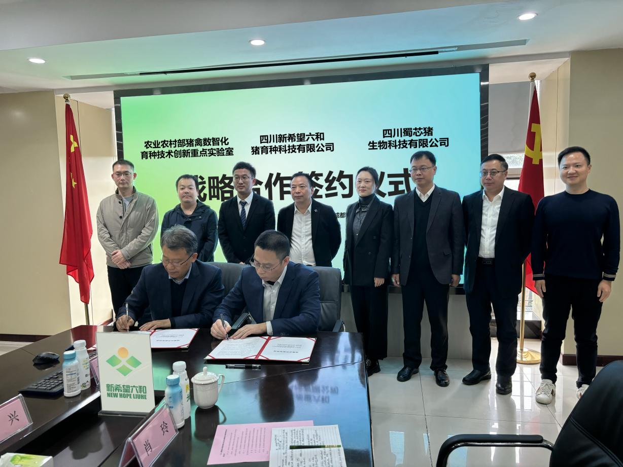 蜀芯猪公司与新希望六和猪育种科技有限公司签署战略相助协议