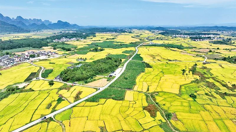 有力有用推进墟落周全振兴