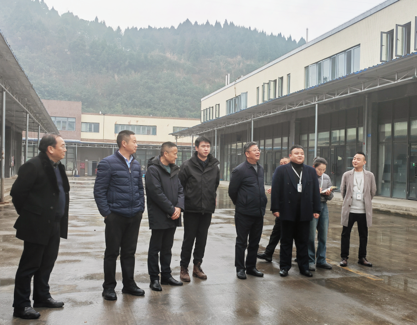 易飞、、孙先勇带队到南充片区调研指导事情