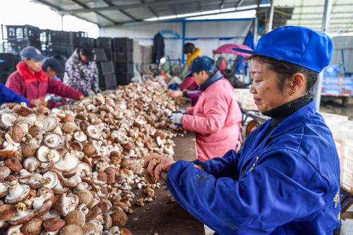 人民日报社论：：打好墟落周全振兴漂亮仗