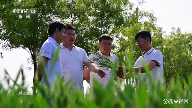 焦点访谈：：挺膺继承 强国有我9.png