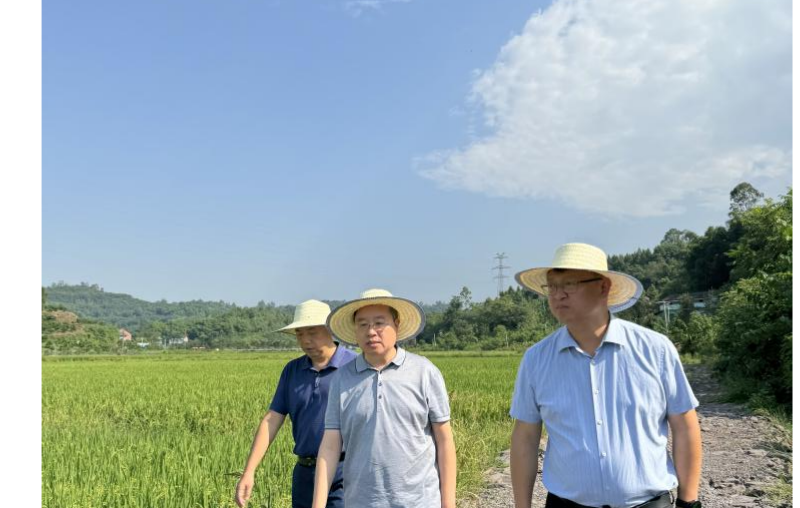 黄小文到广安市调研农事服务事情