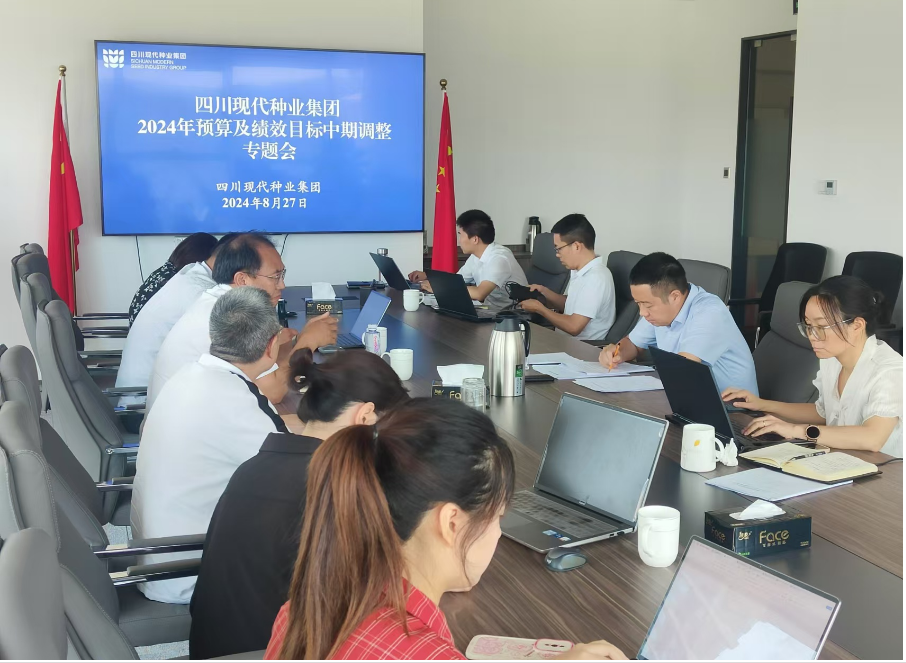 集团召开2024年预算中期调解专题会.png