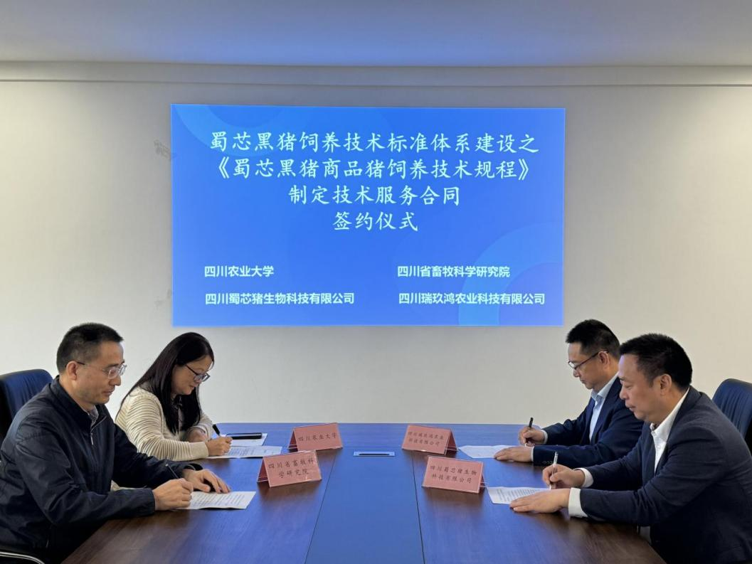 蜀芯猪公司与川农大、、省畜科院、、瑞玖鸿公司举行签约仪式  配合推进蜀芯黑猪饲养手艺标准系统建设