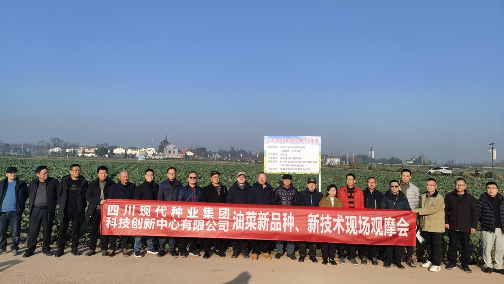 科创中心联合多家单位举行油菜新品种、、、新手艺观摩会