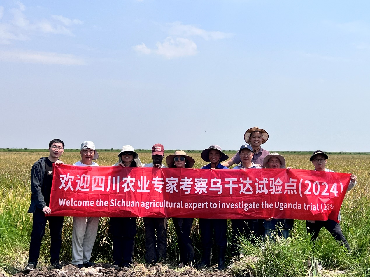 四川农业专家团考察仲衍种业乌干达试验点1.png