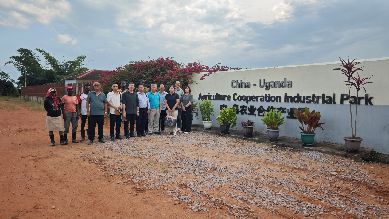 四川农业专家团考察仲衍种业乌干达试验点2.png
