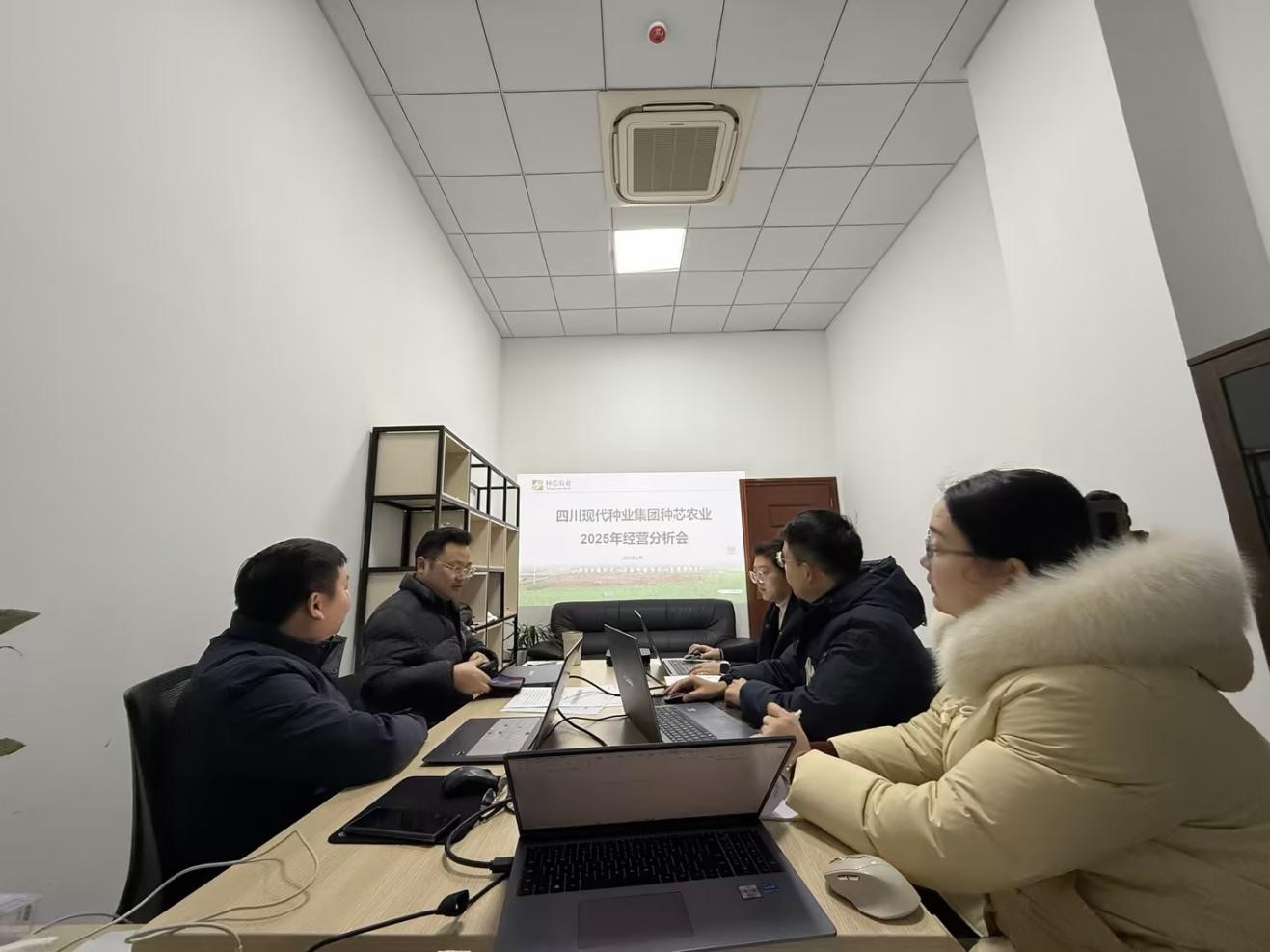 种芯农业公司召开2025年谋划剖析会