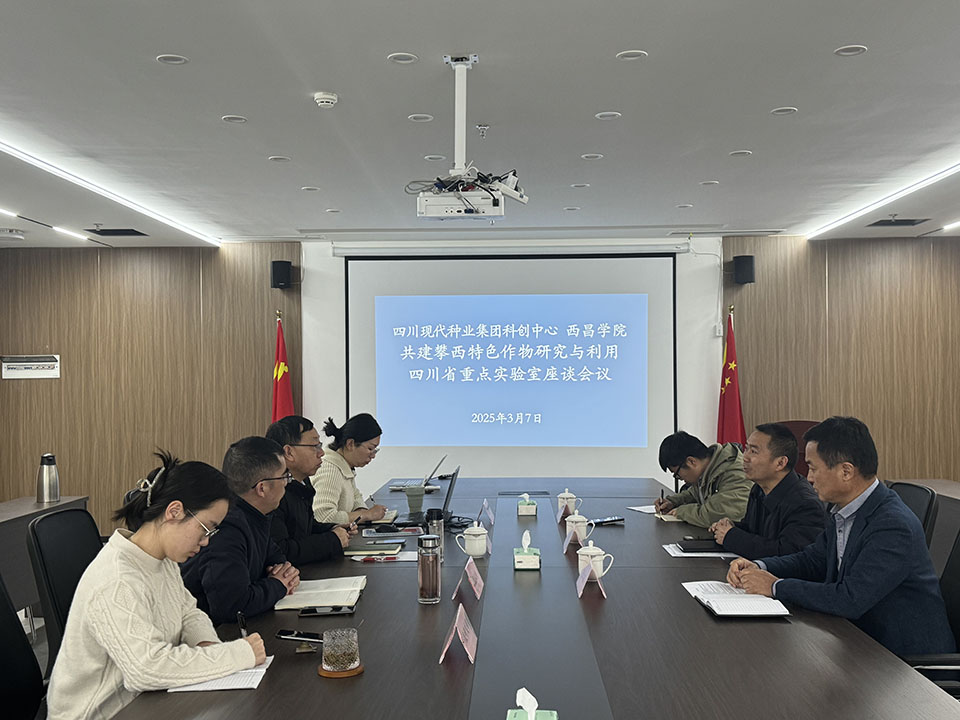 西昌学院任万军副院长带队赴集团科创中心交流座谈