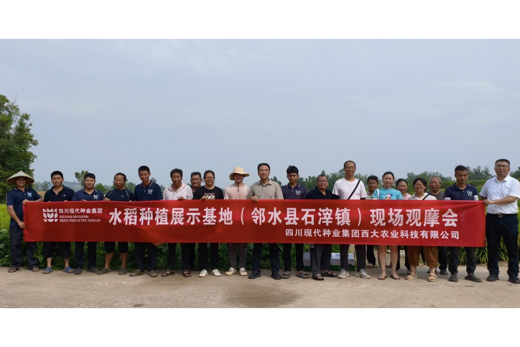 西大农科公司在邻水县石滓镇开展水稻莳植展示基地现场观摩会
