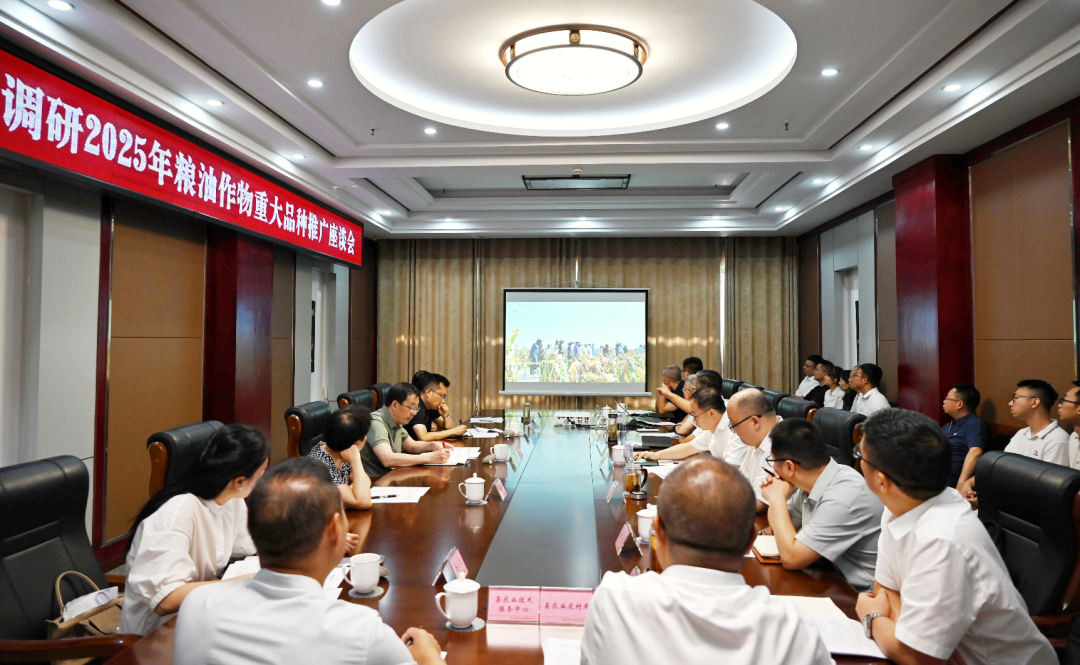 省农业农村厅调研2025年粮油作物重大品种推广事情 365上市公司作专题汇报