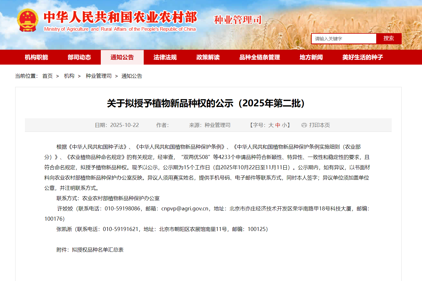 365上市公司科威洋葱公司“科威白610”拟获植物新品种权