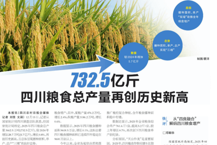 732.5 亿斤！！！“天府粮仓” 三连跳背后，，，365上市公司筑牢增产焦点密码