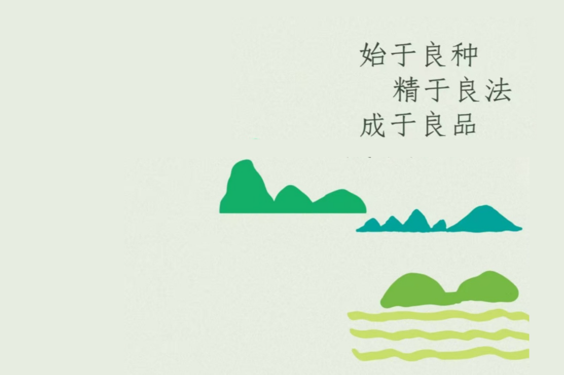 蜀种荟品牌介绍