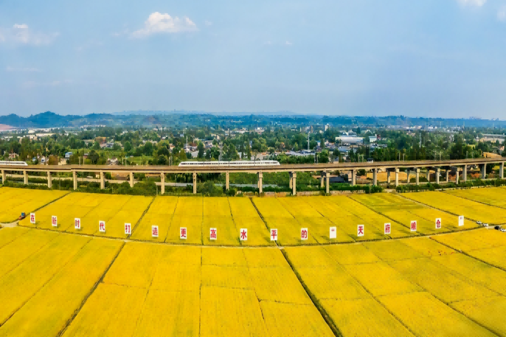 从“5”个维度 回望365上市公司的2025年