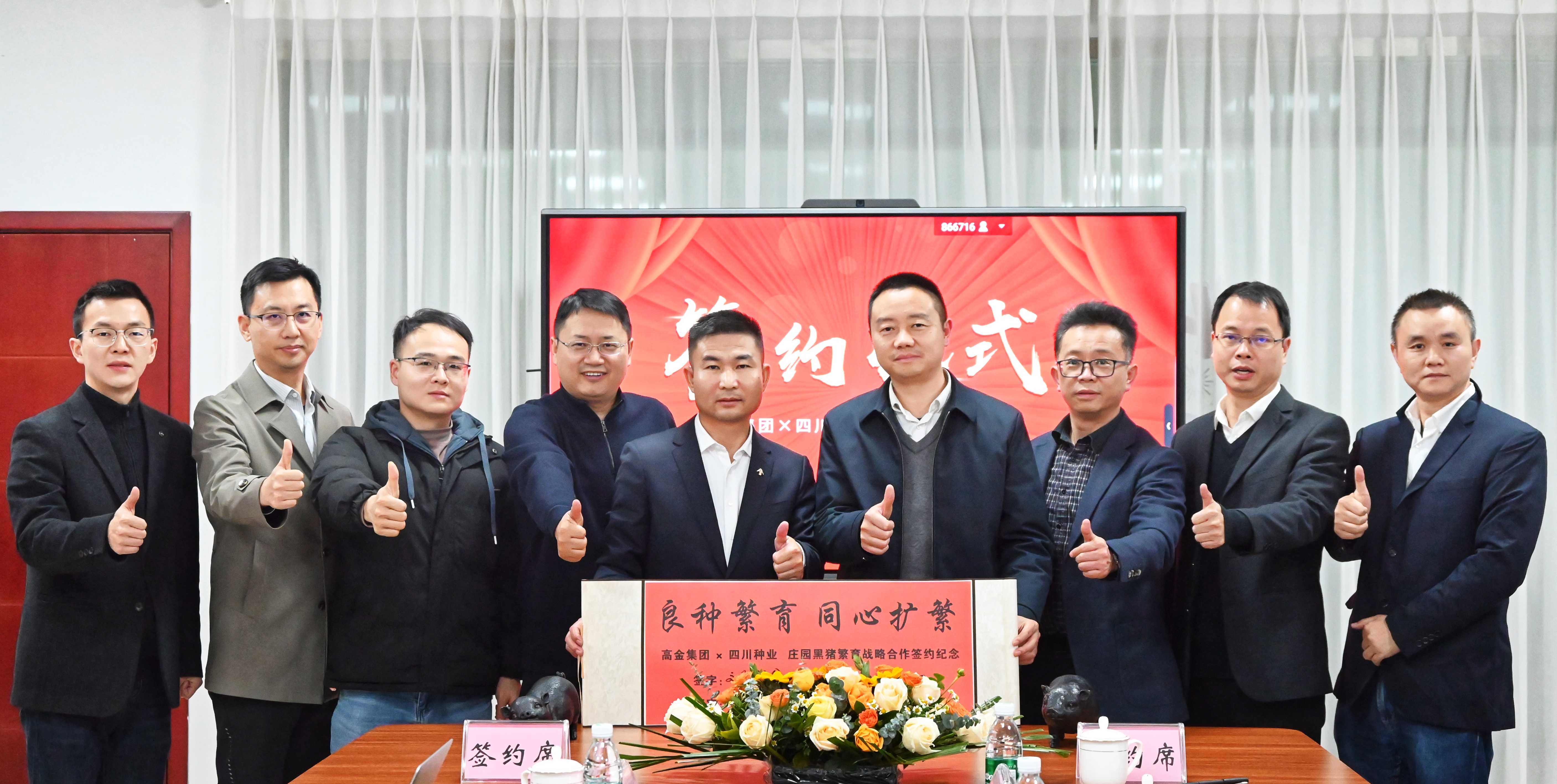 蜀芯猪高金签约相助pic2(1).jpg